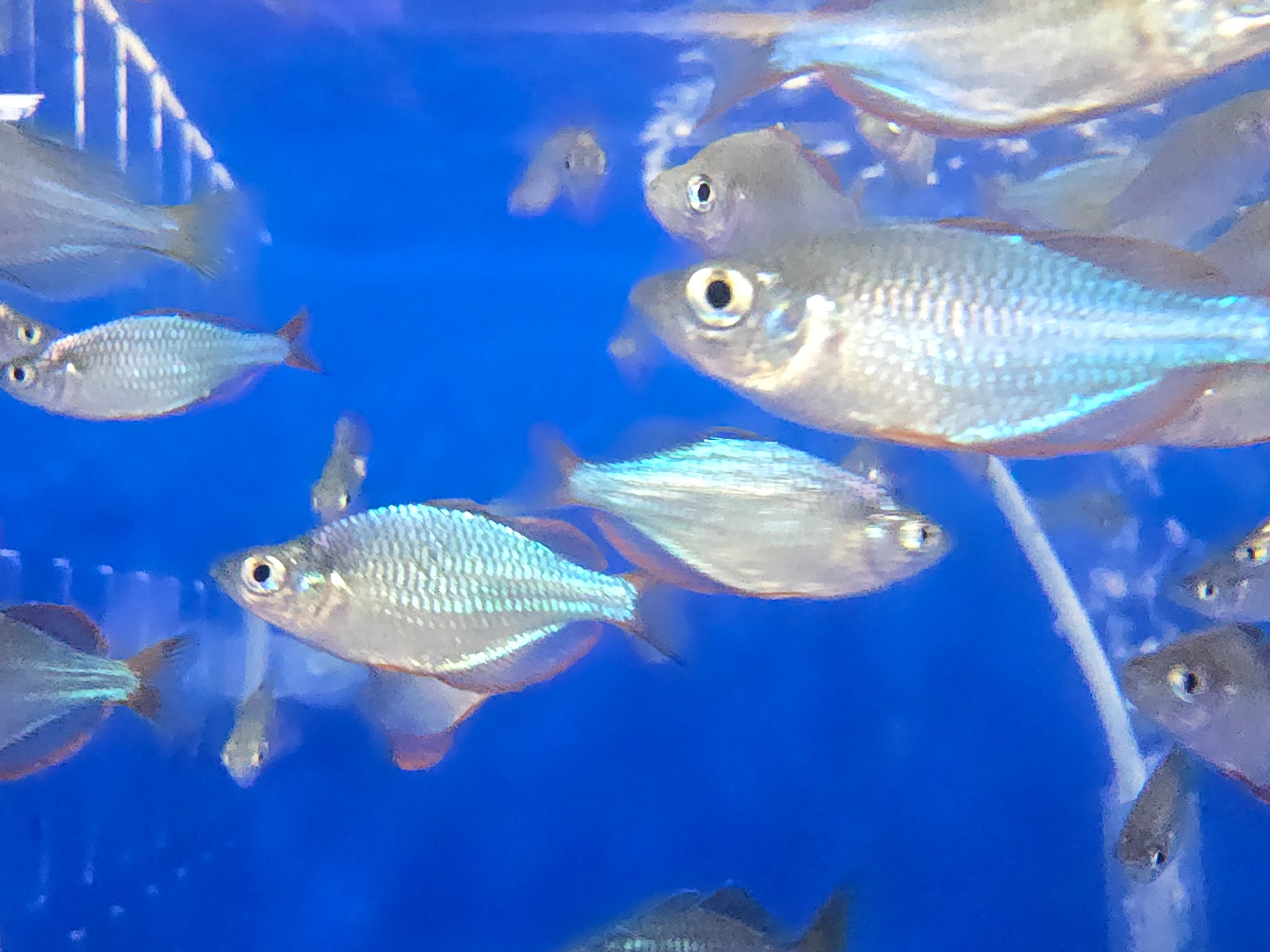 20250430_132231.jpg