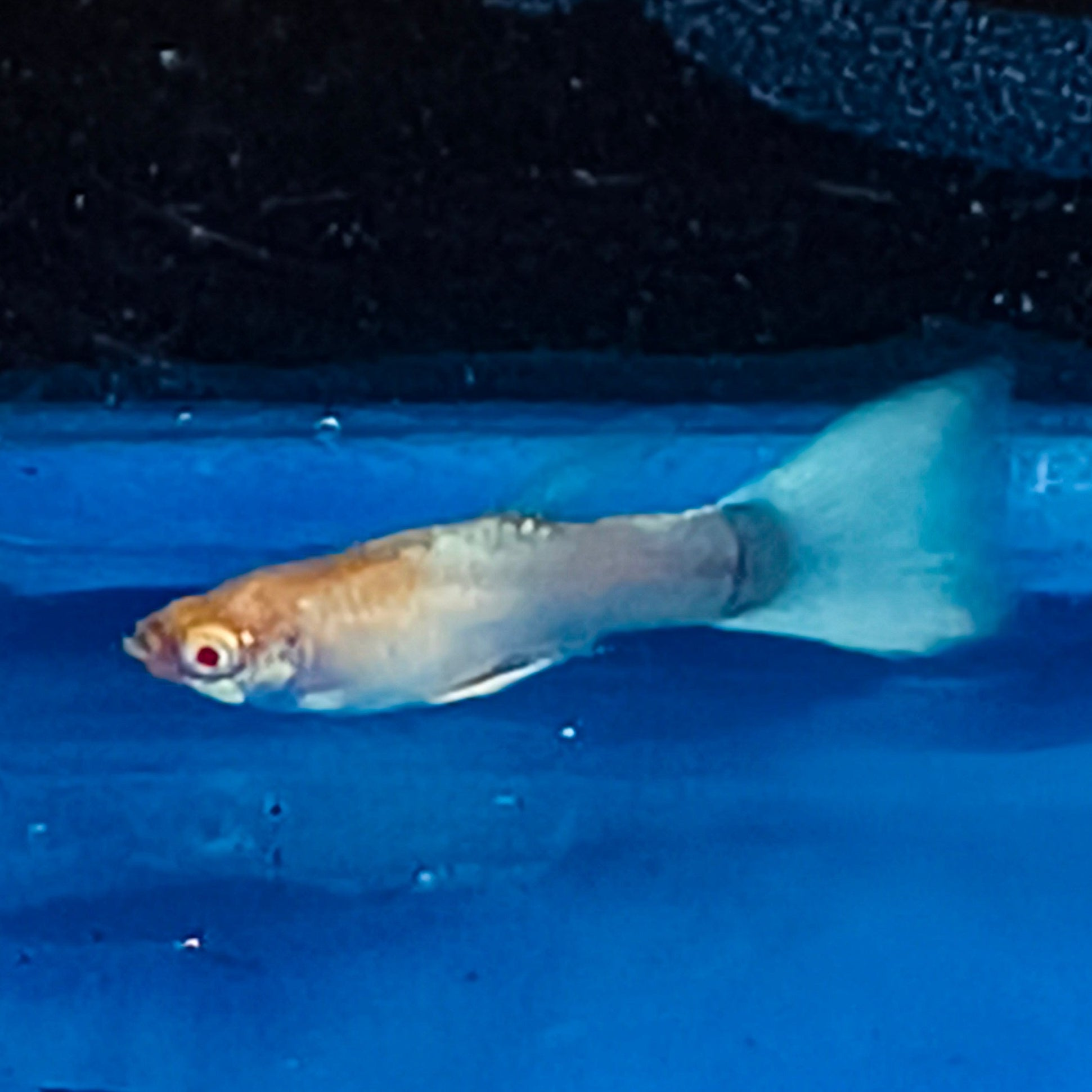 IMG_20250814_151532.jpg